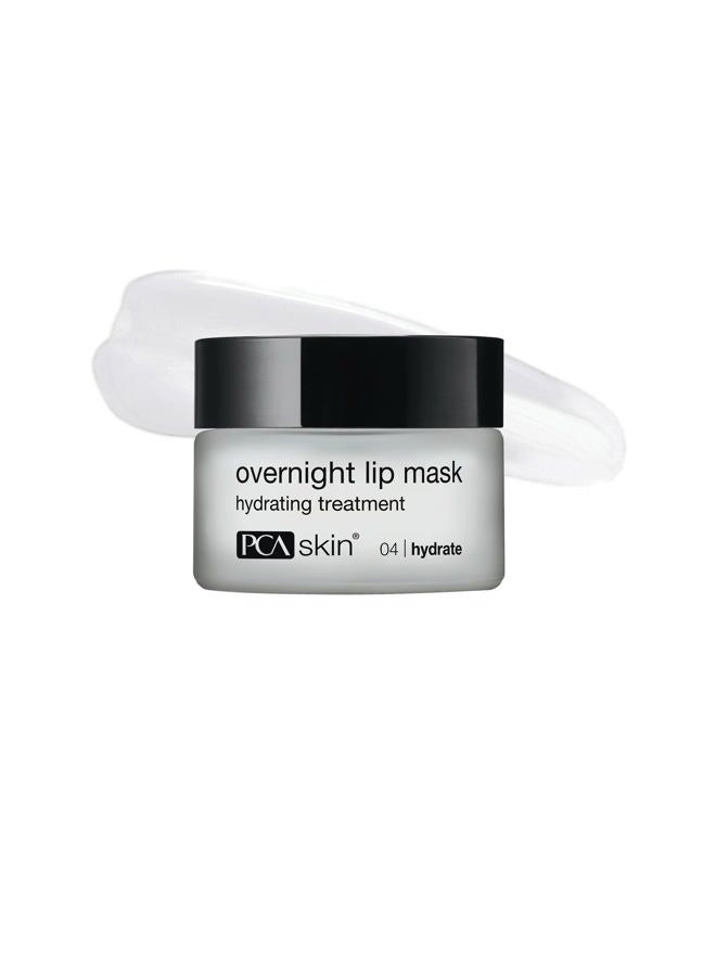 PCA SKIN قناع بلسم الشفاه الليلي — علاج العناية بالبشرة للشفاه المرطبة للغاية، يستعيد الرطوبة ويرطب الشفاه الجافة والمتشققة أثناء النوم (0.46 أونصة) - Image 1